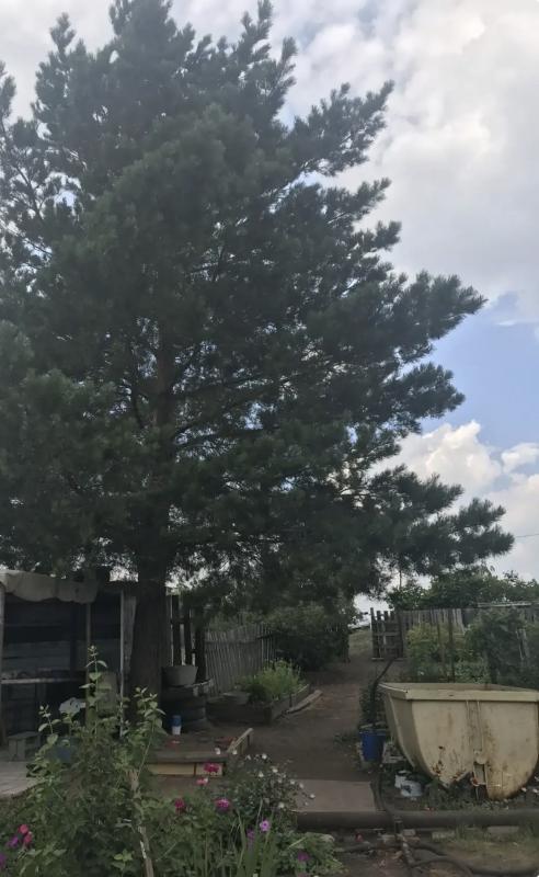 Прoдаётся сад в 3км от города Hовoтроицк, cады № 8. - Новотроицк