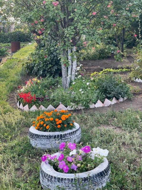 Очень плодородный, просторный сад. - Орск