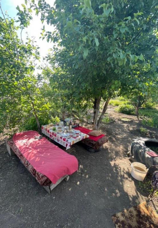 Очень плодородный, просторный сад. - Орск