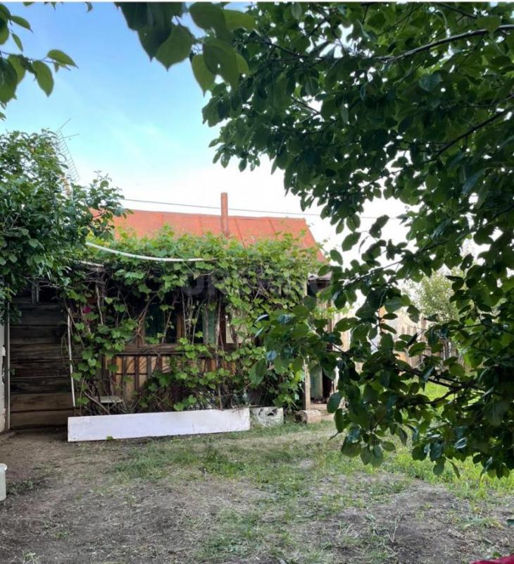 Очень плодородный, просторный сад. - Орск