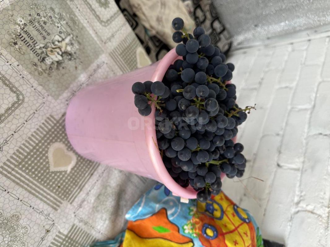 Продам садовый участок в обществе Урожай. - Орск