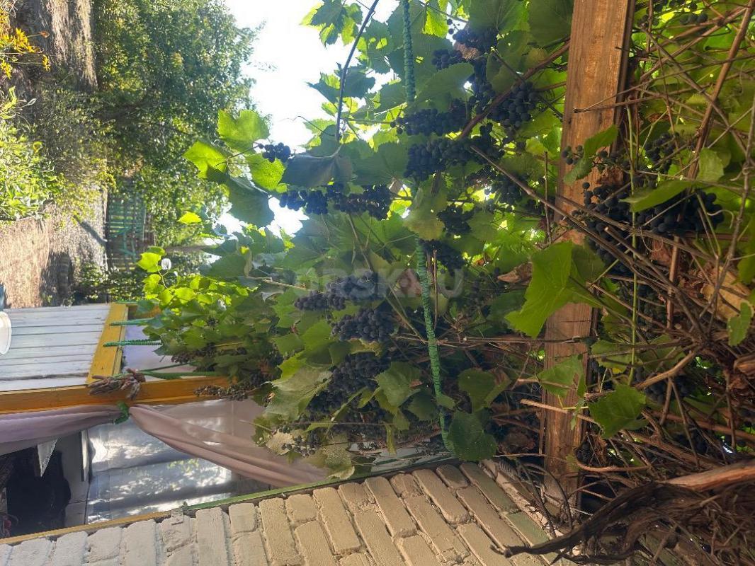 Продам садовый участок в обществе Урожай. - Орск