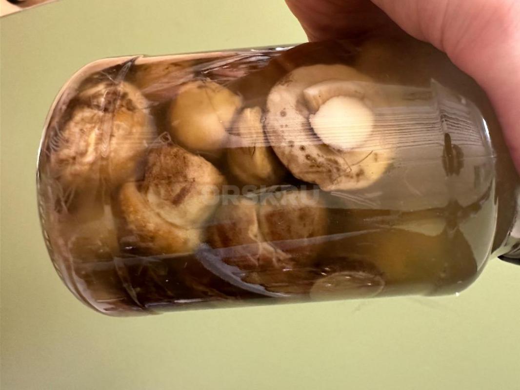 Грибы соленые, маринованные, мороженные, автоклавные (консервированные) и сушеные

Соленые грибы — - Орск