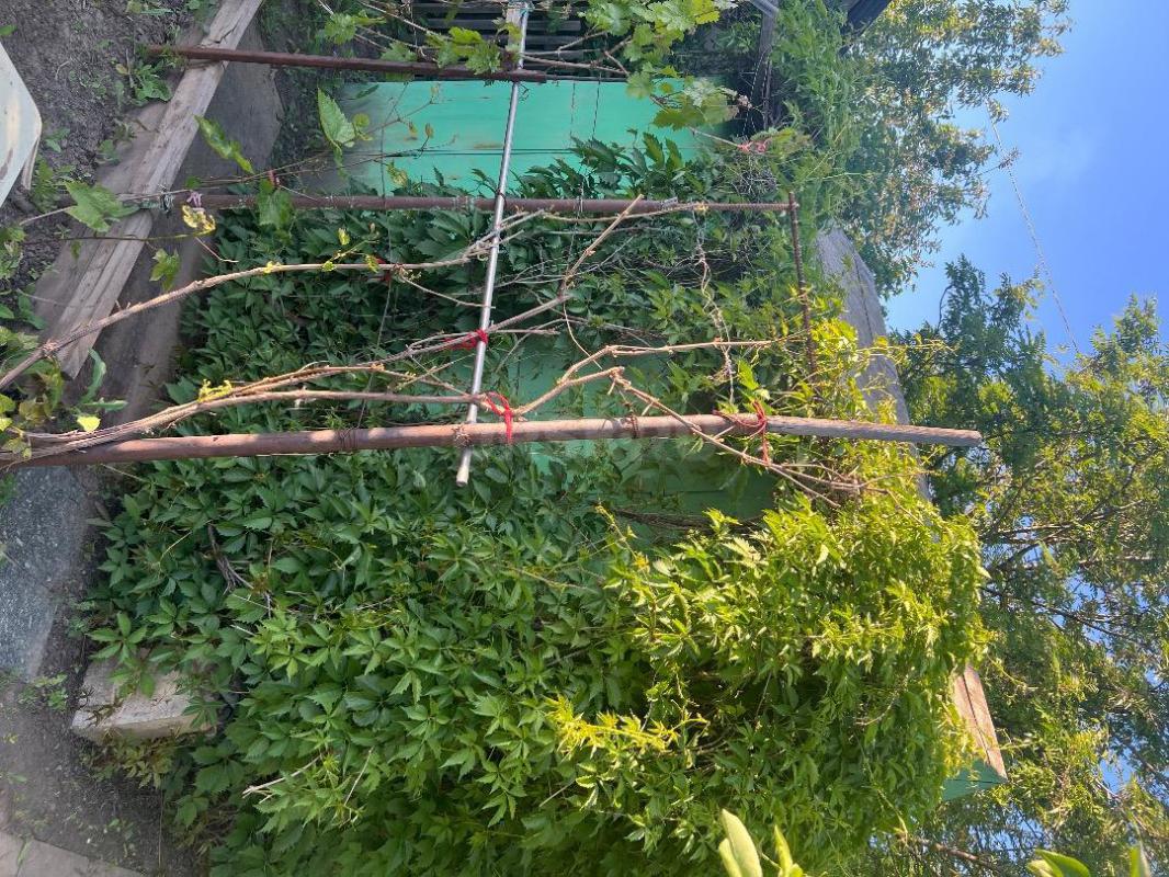 Сад располагается на 2 садовой , 5-7 минут от остановки. - Орск