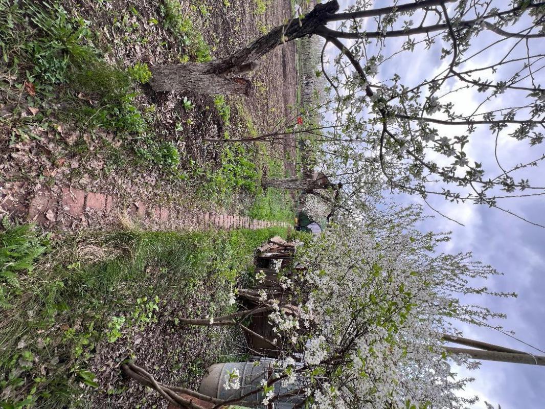 Сад располагается на 2 садовой , 5-7 минут от остановки. - Орск