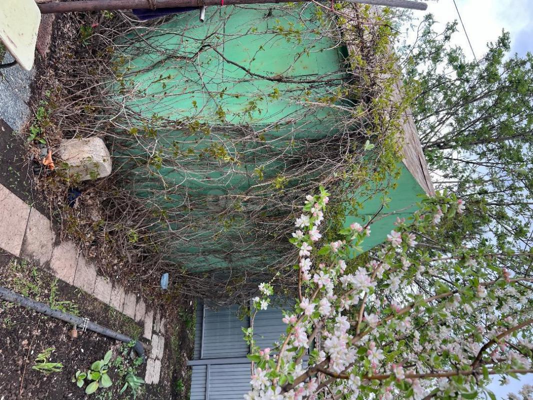 Сад располагается на 2 садовой , 5-7 минут от остановки. - Орск