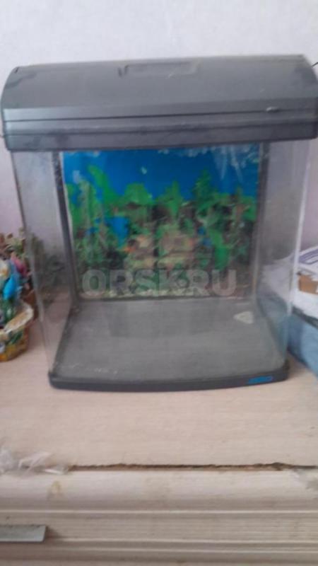 Продам  литой аквариум Джебо скрышкой 35л. - Орск