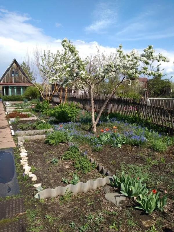 Продам в хорошие руки садовый участок (сады №8, 5 участок,  2 улица). - Новотроицк