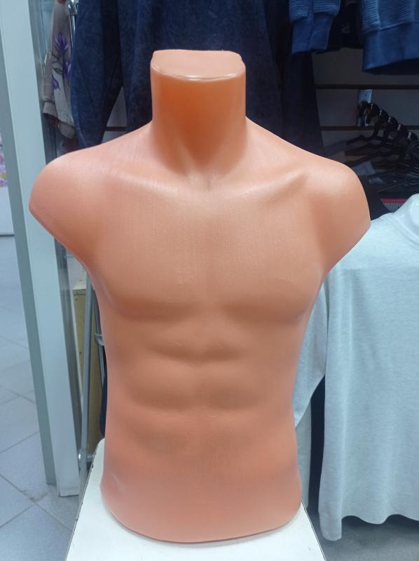 Продаются мужские манекены (торс) 11 шт. - Новотроицк