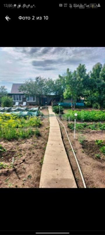 Продаю Дачу с ухоженным участком и баней в СТ Ударник, город Орск. - Орск