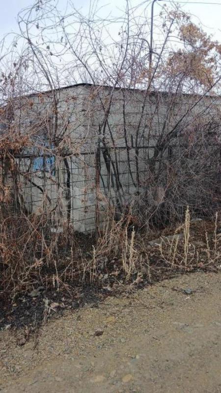 Сдам на длительный срок садовый участок с разными насаждениями (яблони, малина, клубника, вишня и т. - Орск