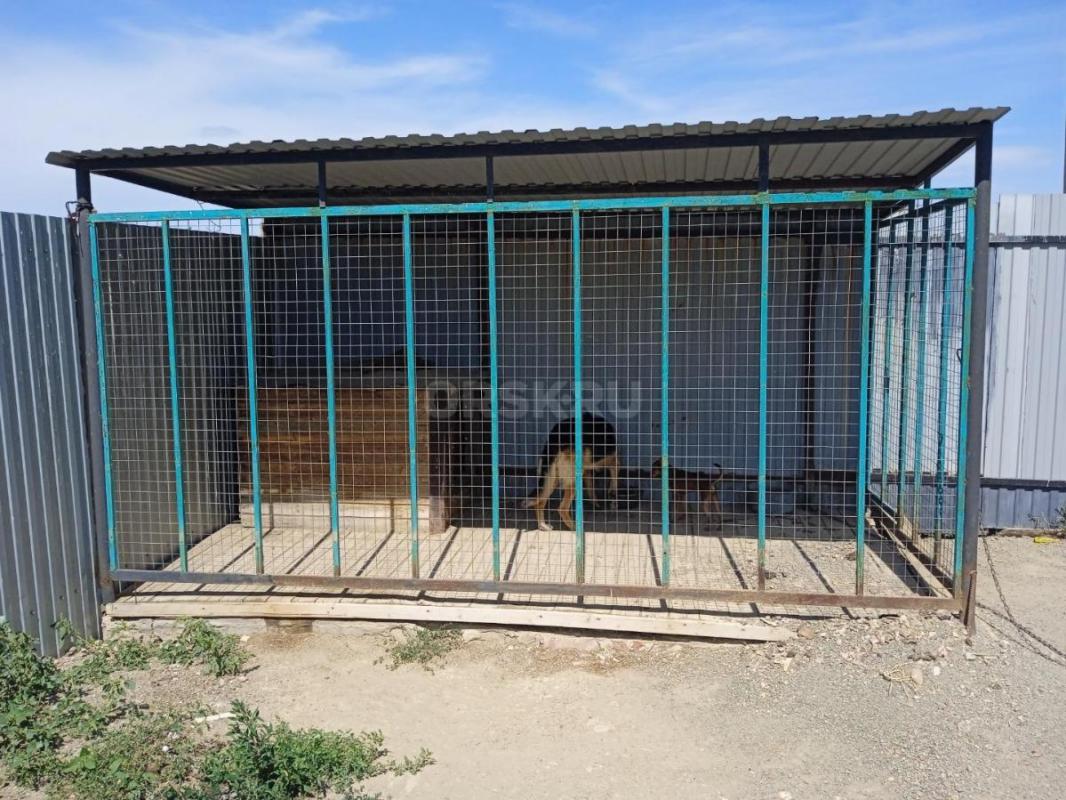 продам вольер для собаки б у размер 4м на 2и5 метра - Орск