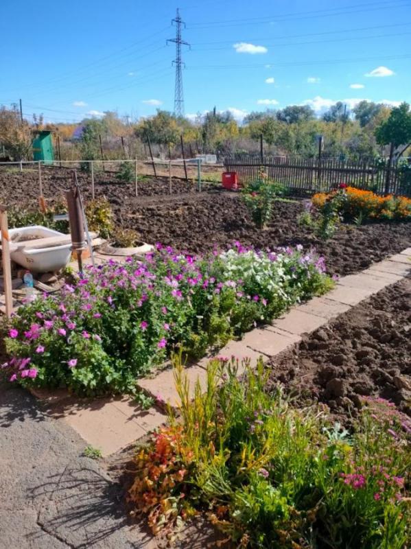 Продам ухоженный сад 6 соток район Зеленхоза,сразу за ж/д переездом направо. - Орск