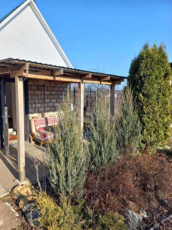 Продам сад в СНТ ОНОС в старом городе. - Орск