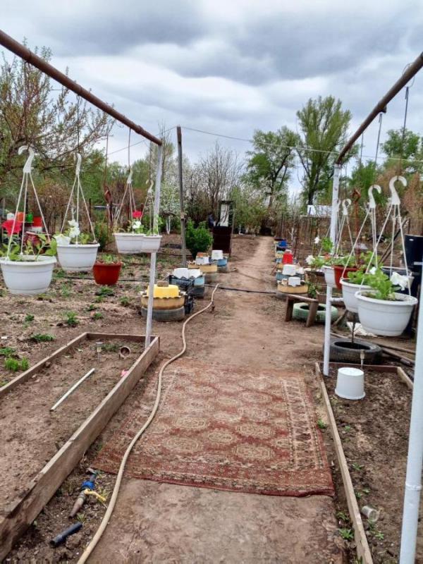 Продам сад имеется дом 3ком , душ туалет мангальная зона посадки яблони малина смородина крыжовник к - Орск