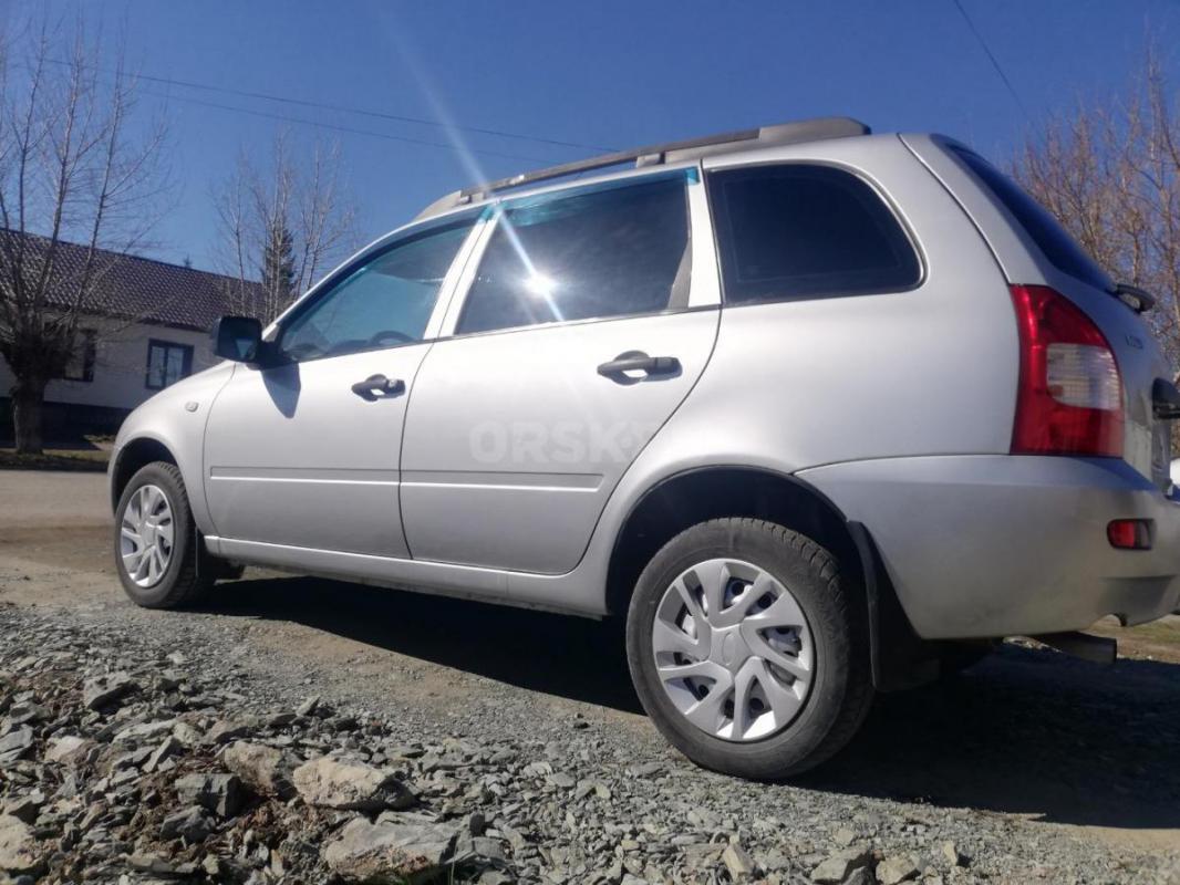 Не гнилая, без рыжиков!!! - Адамовка