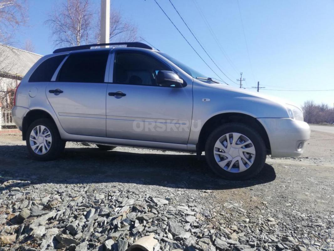 Не гнилая, без рыжиков!!! - Адамовка