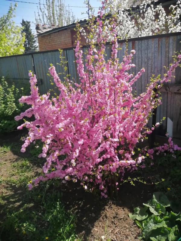 ПРОДАËТСЯ ХОРОШИЙ ДОМ
РАЙОН МОЛОКОЗАВОДА. - Новотроицк