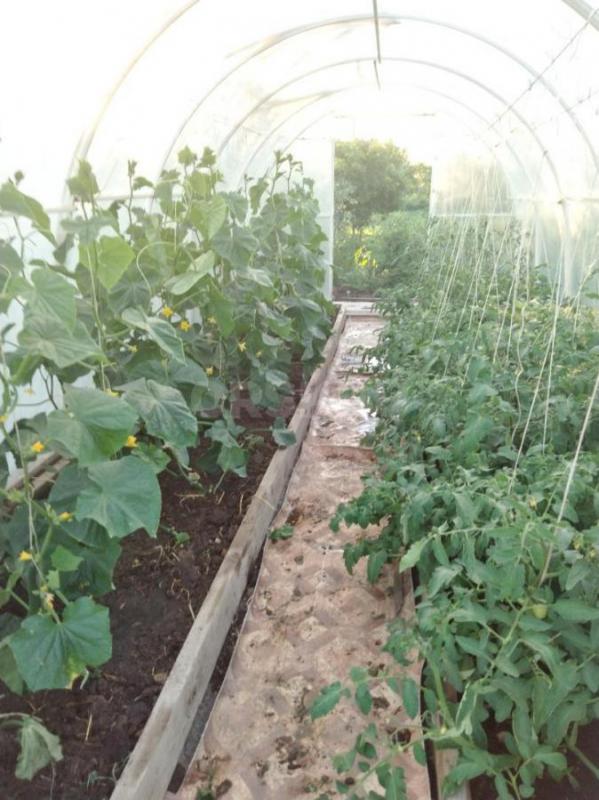 Сад на 2й садовой ТСН-24,приватизирован, имеется свет, баня, беседка, теплица, качок, домик, все нас - Орск