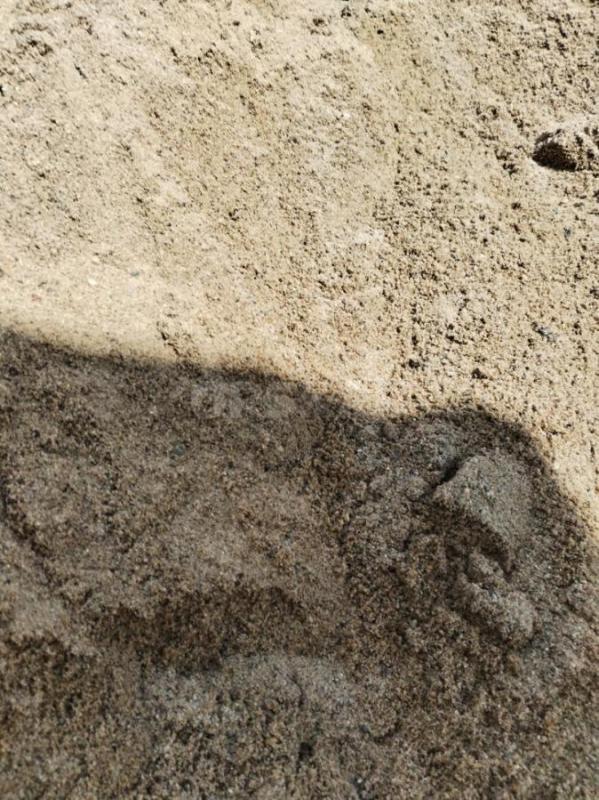 Продам речной песок чистый отлично подойдёт для песочницы детям и для строительных работ штукатурки - Орск