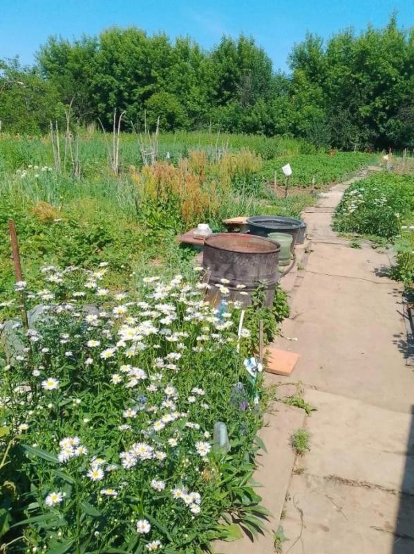 Продам дачу. - Орск