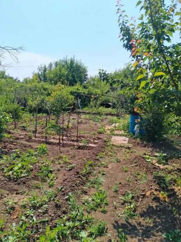 Продам дачу. - Орск