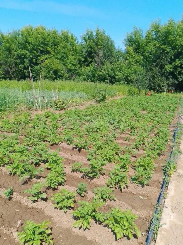 Продам дачу. - Орск