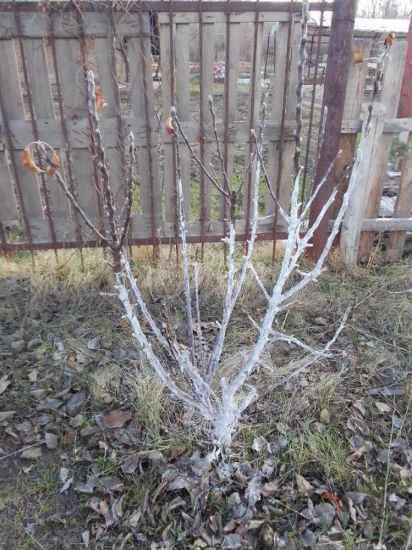 Продаётся дача в районе Попова угла - Орск