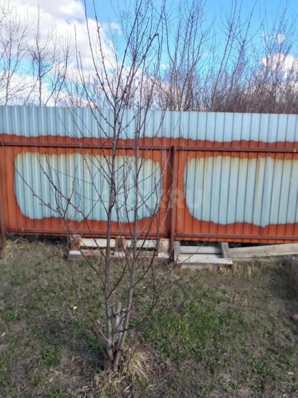 Продаётся дача в районе Попова угла - Орск