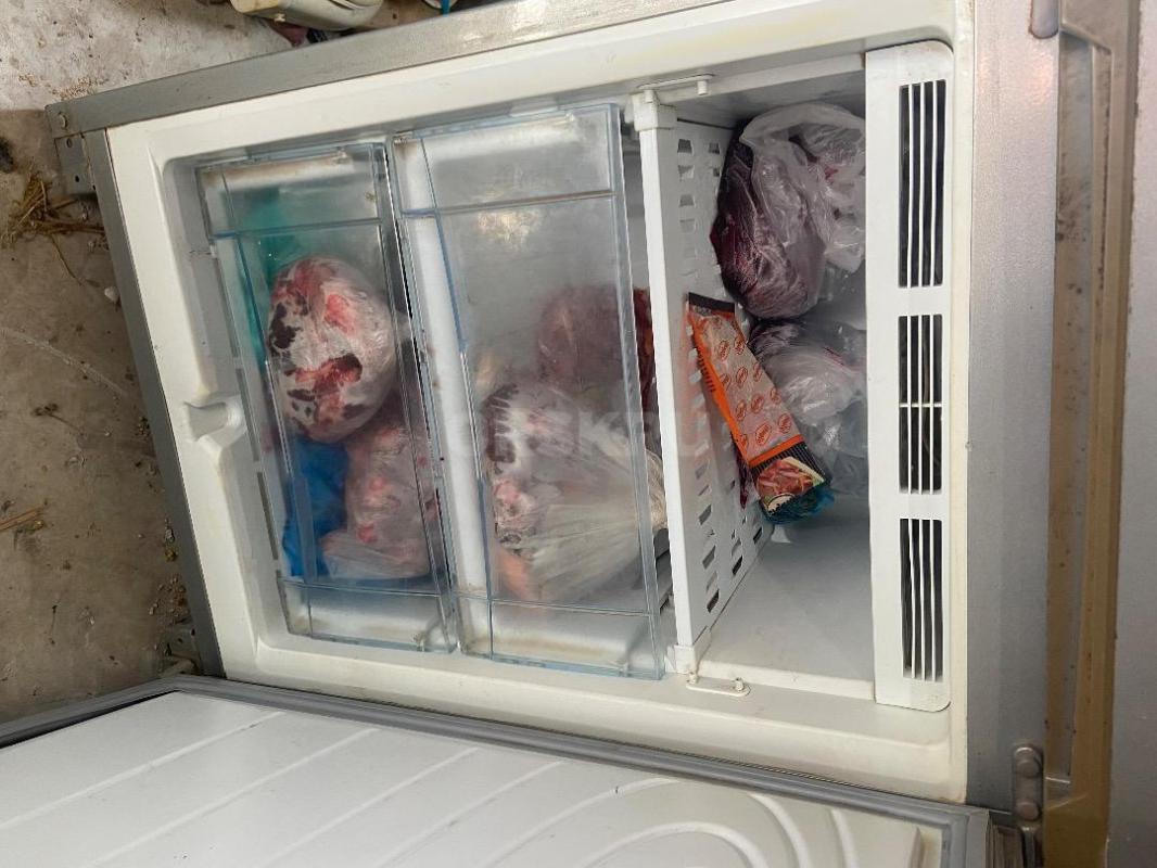 Холодильник норд в рабочем состоянии - Орск