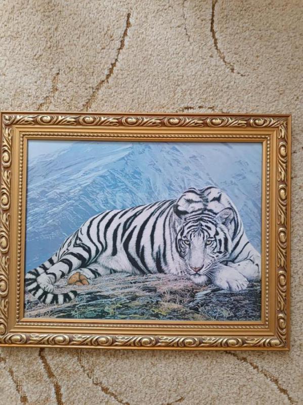 Картины 1.80*52 1000р. 2.48*58 500р. 3.49*39 500р. - Орск