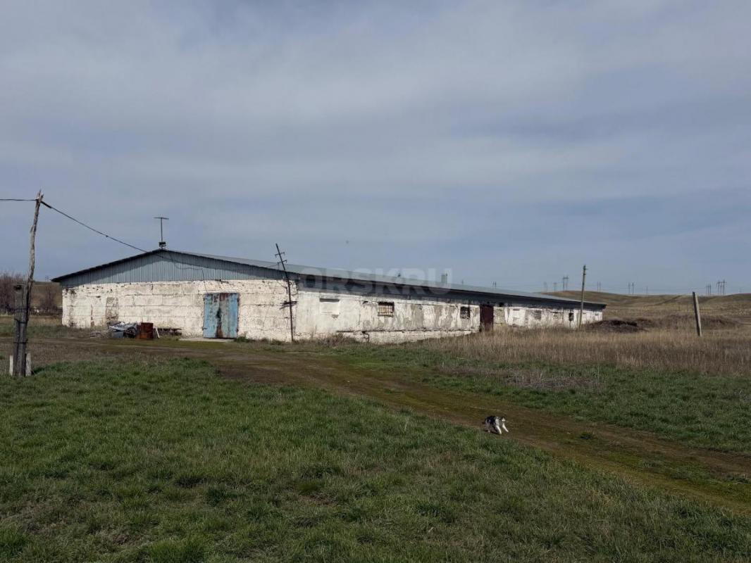 Срочно Продам животноводческую базу. - Гай