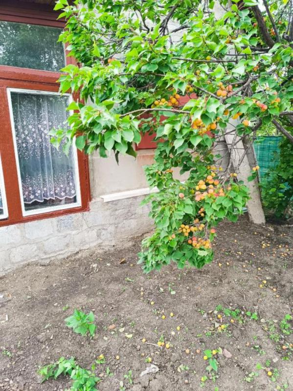 Ухоженный садовый участок в районе станции &amp;quot;Новый Город&amp;quot;. - Орск