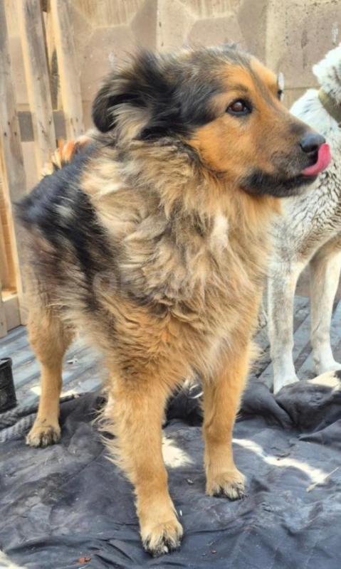 Орск ! - Орск