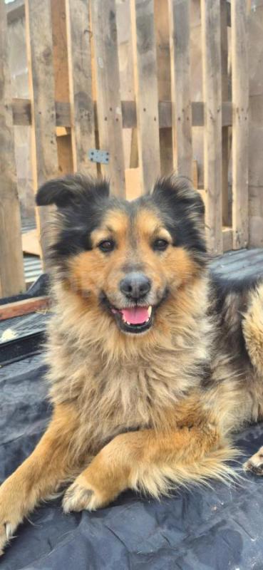 Орск ! - Орск