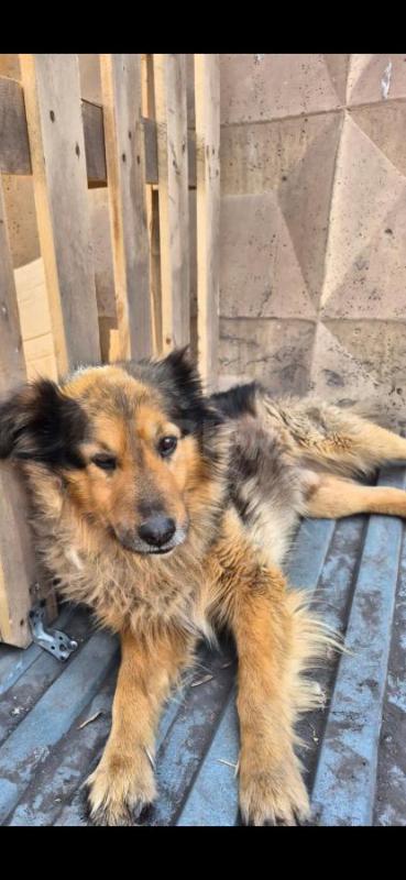 Орск ! - Орск