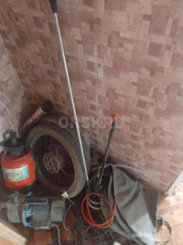 Опрыскиватель садовый " Жук" б, у в рабочем состоянии две телескопички  для деревь - Орск