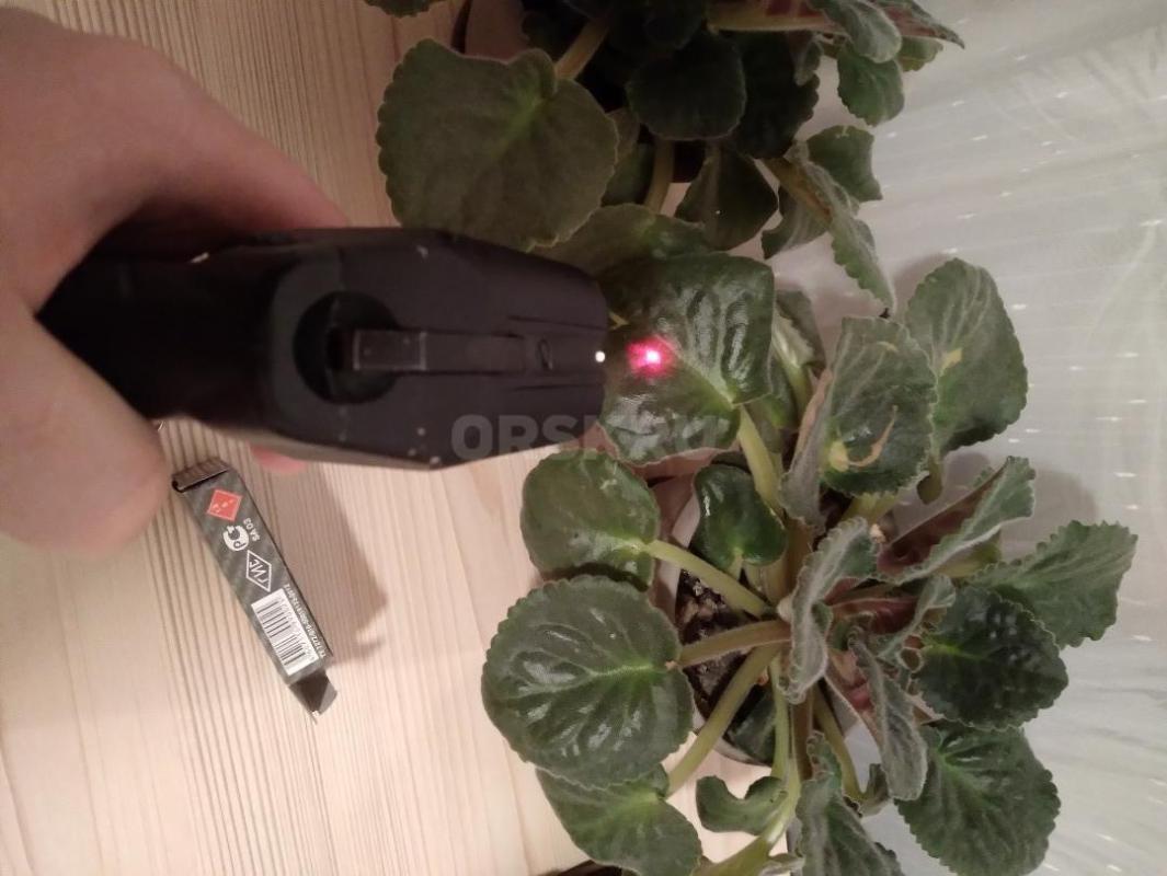 Продам травматический пистолет оса 18х45 с лазерным прицелом 2  кобуры нательная и на пояс. - Орск