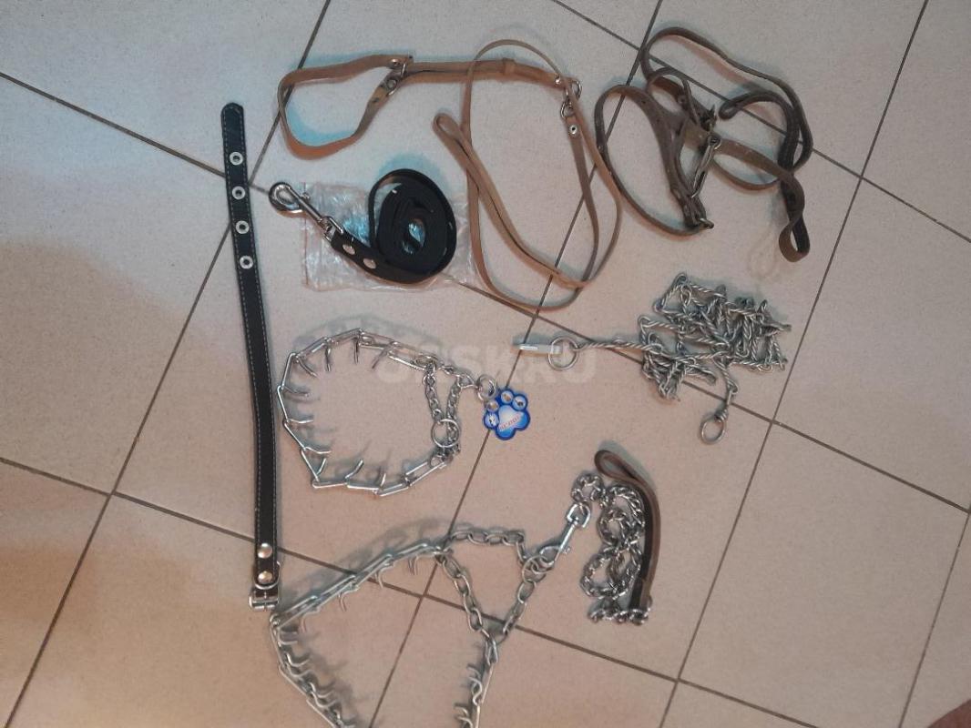 Ошейники и поводки от 500руб. - Гай