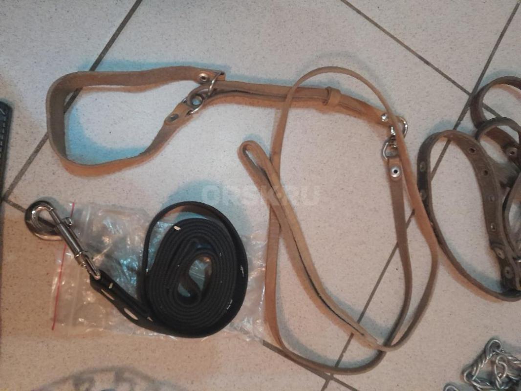 Ошейники и поводки от 500руб. - Гай