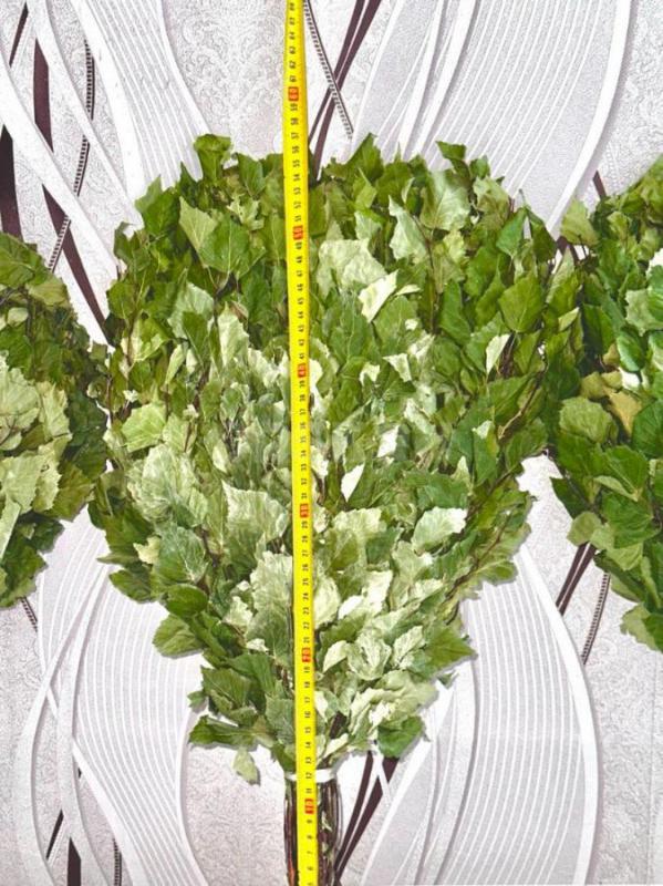 Продам банные веники дубовые и берёзовые сбор 2025 г высококого качества, веники собраны в экологиче - Орск