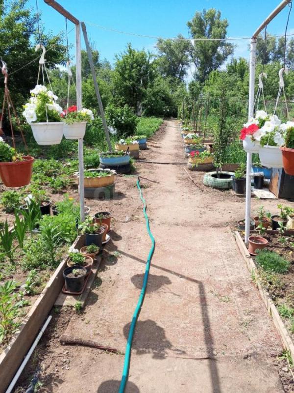 Продам сад на горем 25 имеется дом душ туалет мангальная зона посадки яблони малина смородина крыжов - Орск