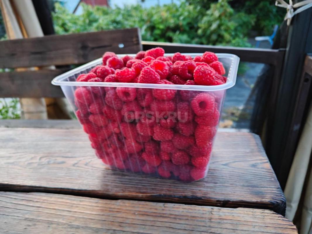 Продам ремонтантную малину - Орск