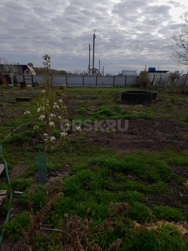 Сад  в шаговой доступности. - Орск