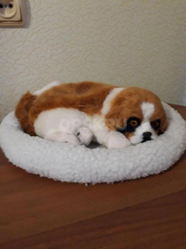 Демисезонный комбинезон р.100, -600 руб., большие игрушки по 200 рублей, собачка на лежанке виляет х - Орск