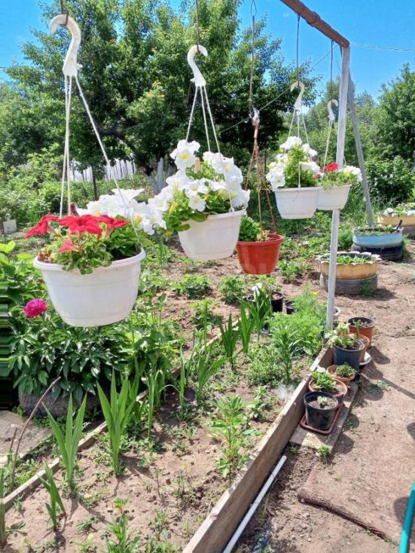 Продам сад имеется дом душ туалет мангальная зона посадки яблони малина смородина крыжовник клубника - Орск