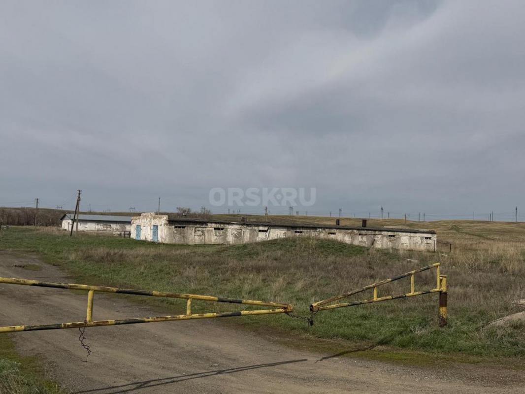 Продам животноводческую базу. - Орск