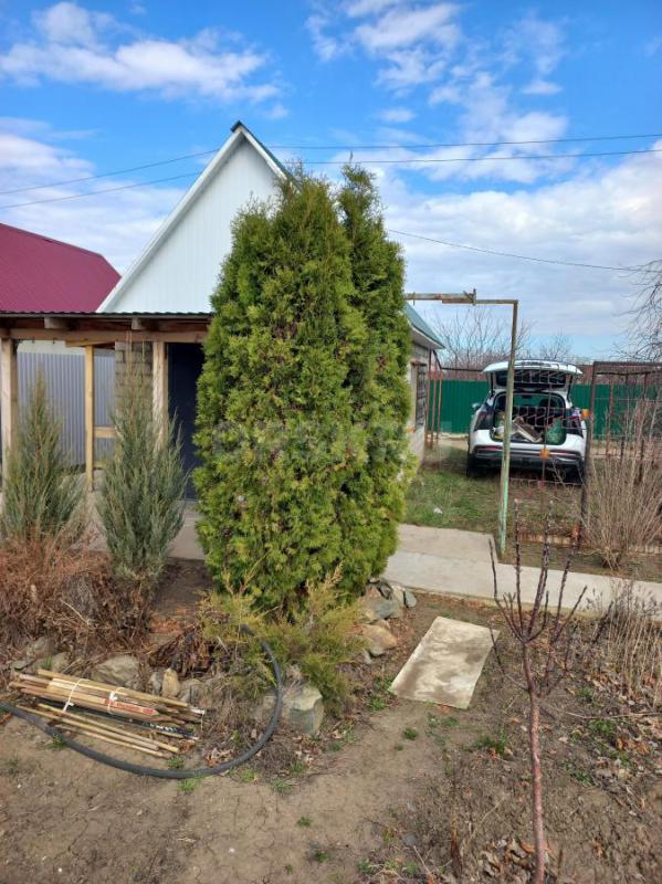 Продам сад в старом городе, СНТ ОНОС. - Орск