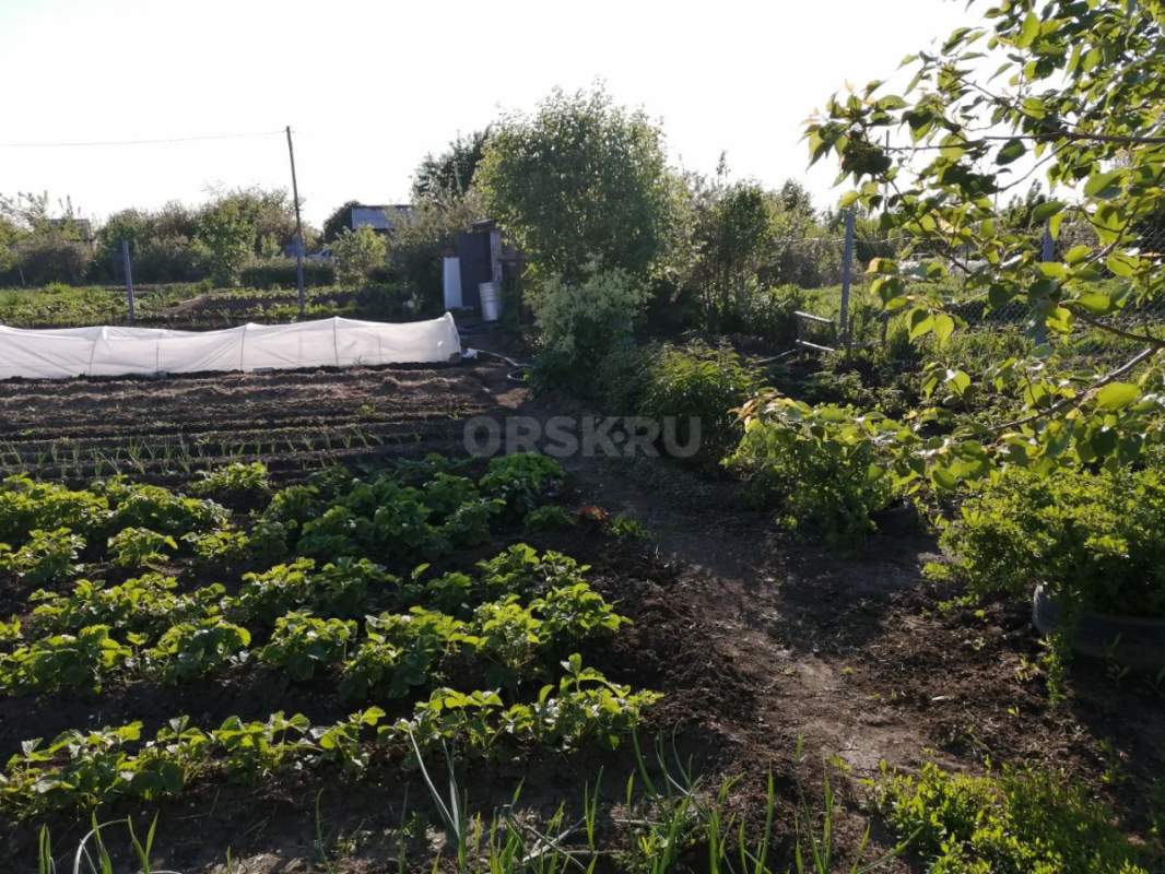 Продаётся земельный участок площадью 9 соток в СНТ ОНОС (старый город). - Орск