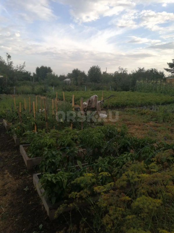 Продаётся земельный участок площадью 9 соток в СНТ ОНОС (старый город). - Орск